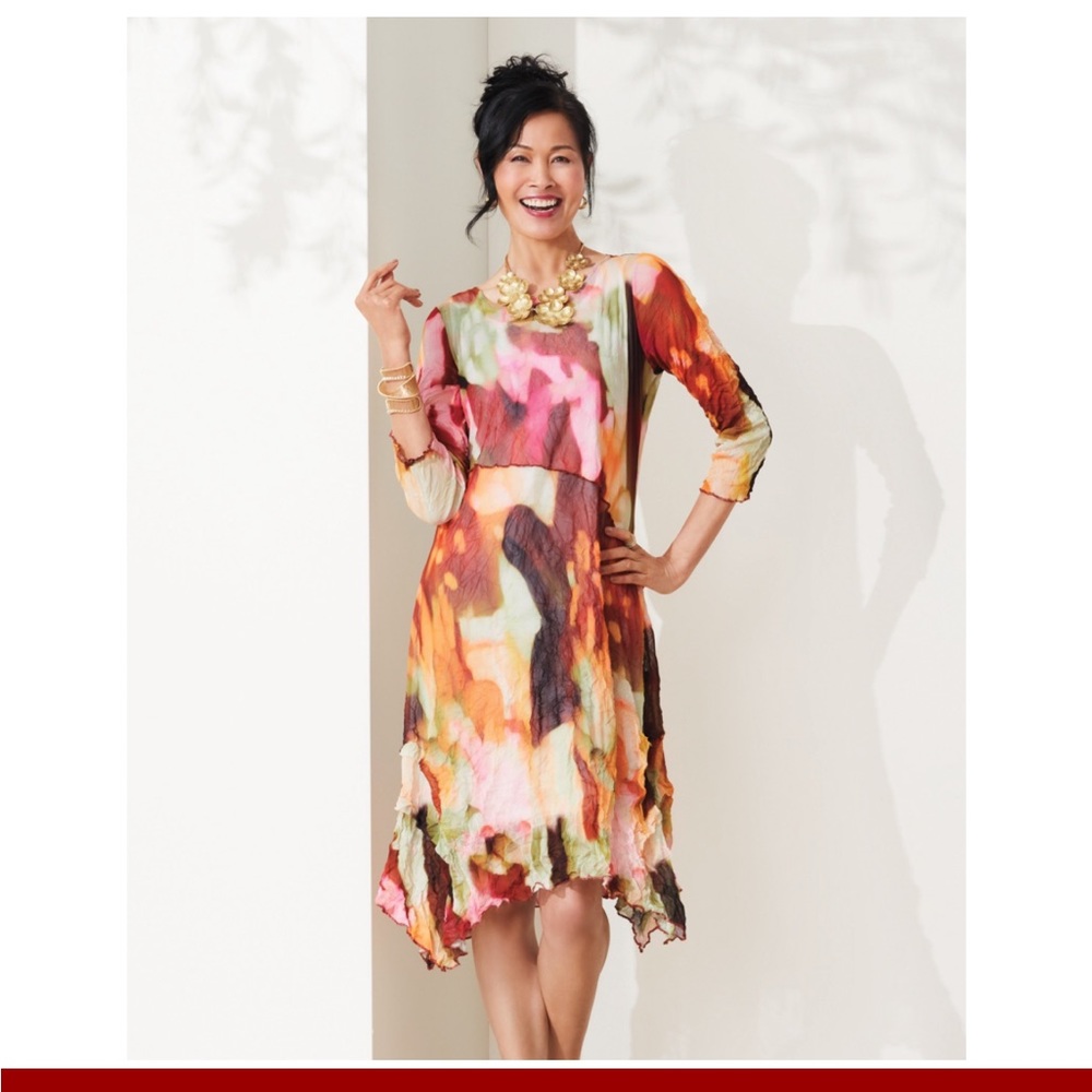 Lisa Bayne Dress NWOT